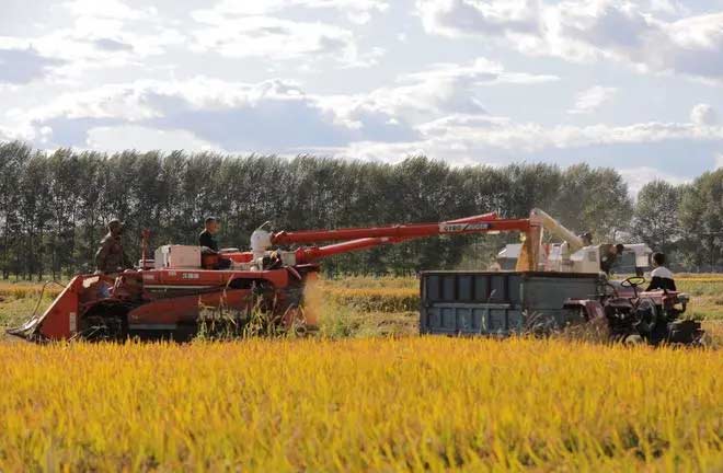 哪种肥料对土壤的影响最小